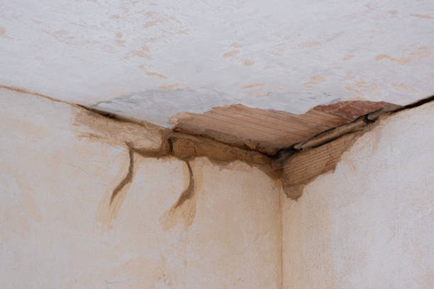 Local water damage restoration in Churubusco, IN