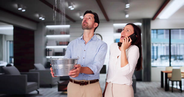 Best Water damage restoration near me  in Churubusco, IN